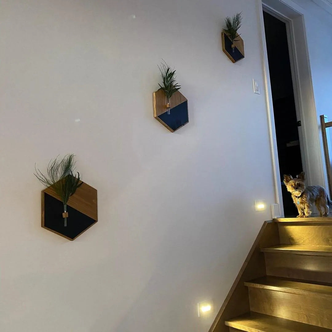 MDF Wood Wall Planters – Black &amp; Brown